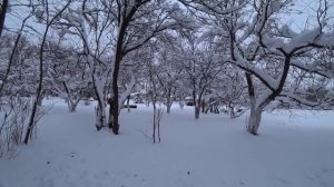 Поездка на дачу Андрея / Таких красот я ещё не видел... / Семья в деревне