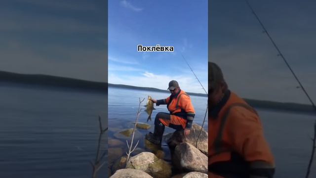 13 июля 2023 г. смотреть онлайн