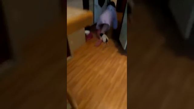 Крыс бегает за ребенком, кот наблюдает) смотреть онлайн