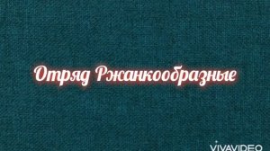 Птицы Красной книги Донецкой Народной Республики ч.5