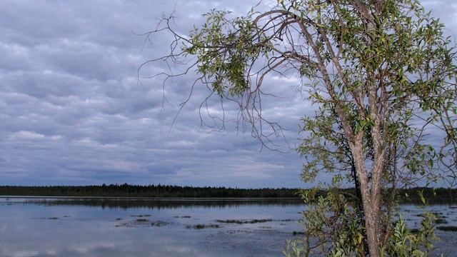 мои фотографии 2012.mp4 смотреть онлайн