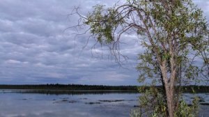 мои фотографии 2012.mp4