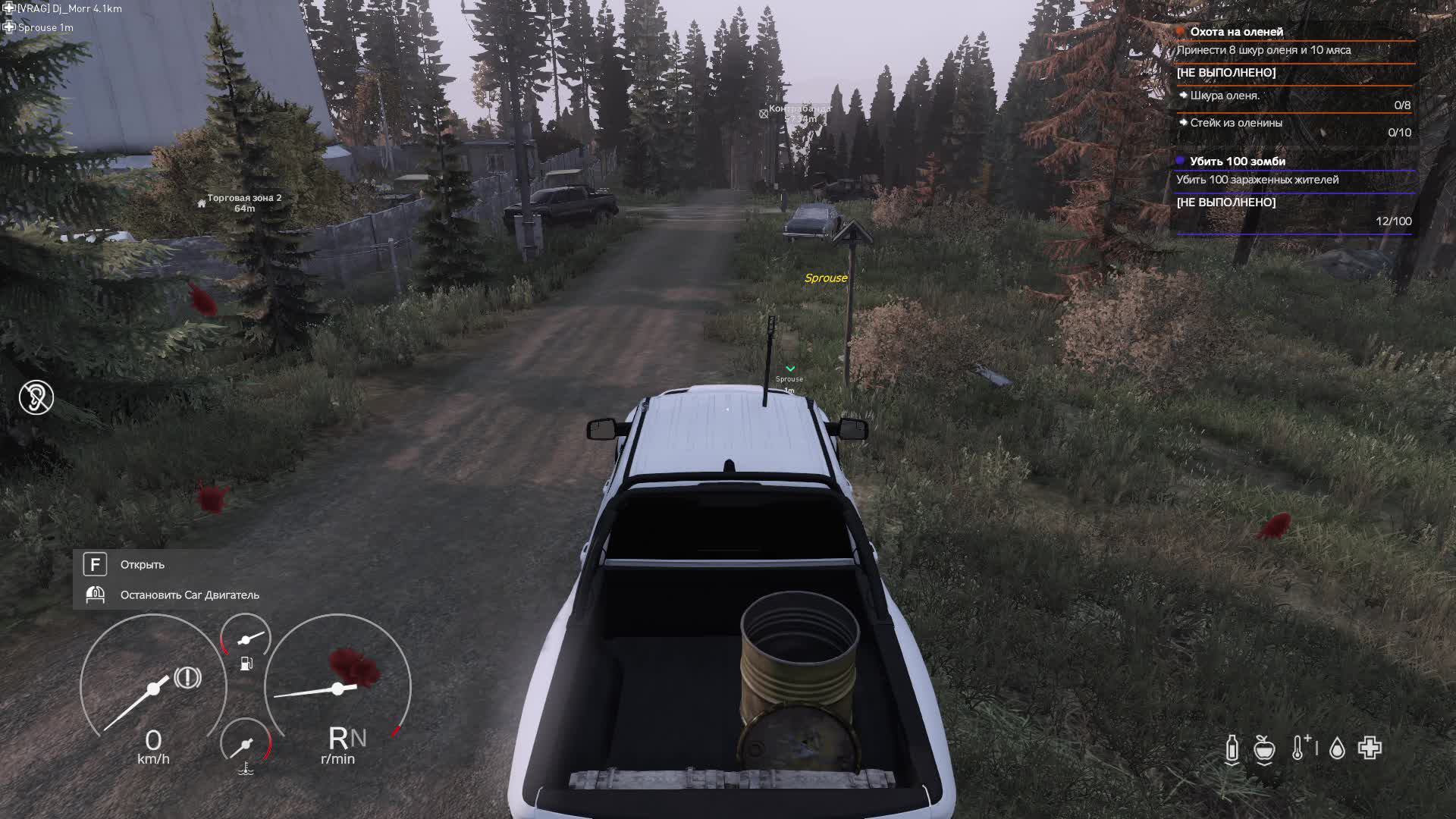 DayZ