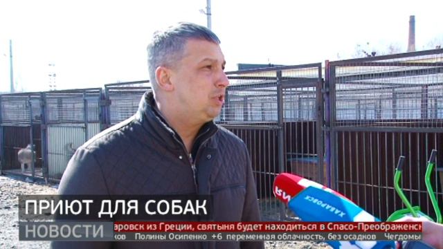 До 800 «постояльцев»: новый приют для собак. Новости. 25/03/2024. GuberniaTV