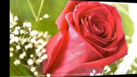 С_ДНЕМ_РОЖДЕНИЯ_МУЗЫКАЛЬНАЯ_ОТКРЫТКА_ПОЗДРАВЛЕНИЕ.mp4