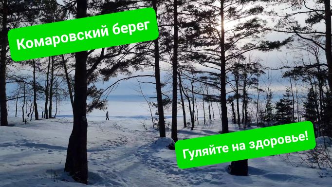 Комаровский берег: целебная природа Курортного района Петербурга