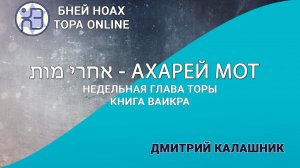 Недельная глава Торы - Парашат а-шавуа - "АХАРЕЙ МОТ" 5784/2024. Дмитрий Калашник