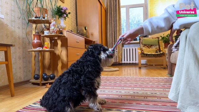 PU6010 Игрушка для собак Pet Universe грейфер с петлёй, 38 см смотреть онлайн