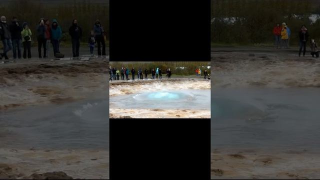 GEYSIR ICELAND #shorts #short #iceland #geysir #travel #geothermal #geyser