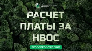 Расчет платы за НВОС