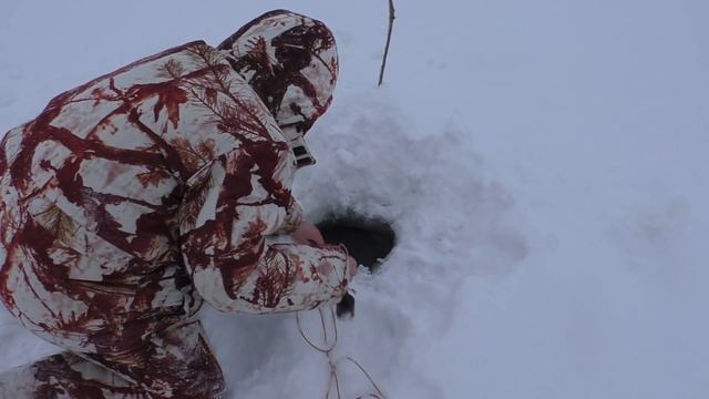 ЖЕСТЬ!!! ВОТ это РЫБАЛКА!!! ТАКОГО клева НАЛИМА мы НЕ ОЖИДАЛИ / РЫБАЛКА на НАЛИМА смотреть онлайн