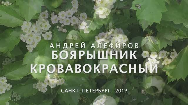 Боярышник кроваво-красный. Алефиров А.Н.