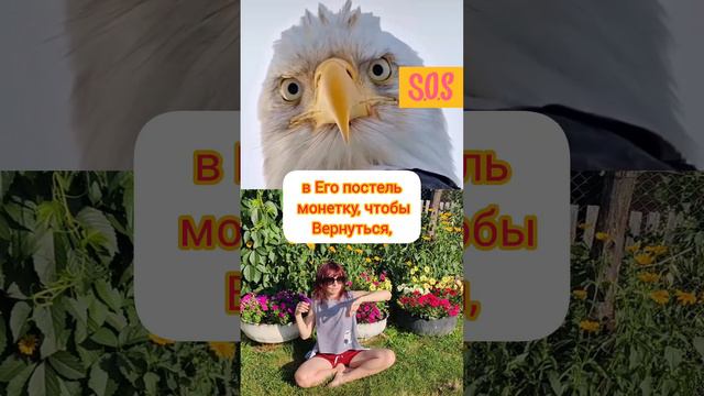 а мужик обиделся 😂😂😂Прикол