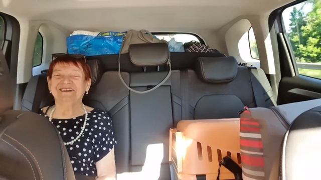 Мама СКАЗАЛА ГДЕ КАКОЙ ЗАКОН смотреть онлайн