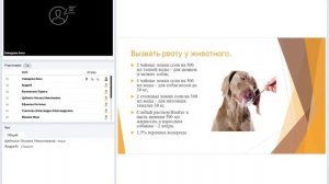 Отравление родентицидами. Симптомы. Диагностика. Лечение.