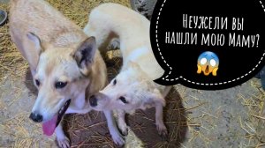 Мы нашли маму оскелетевшей Мори