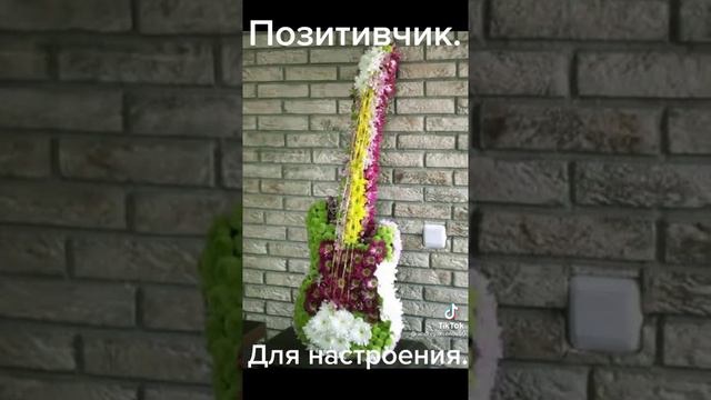 Какие разные бывают цветы!