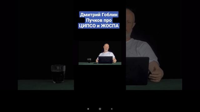 Дмитрий Гоблин Пучков про ЦИПСО и ЖОСПА