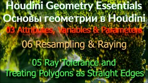 03_06_05 Ray Tolerance and Treating Polygons as Straight Edges