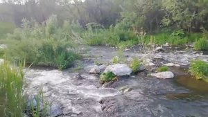 Река Стрелина. Топкинский район. Кемеровская область.