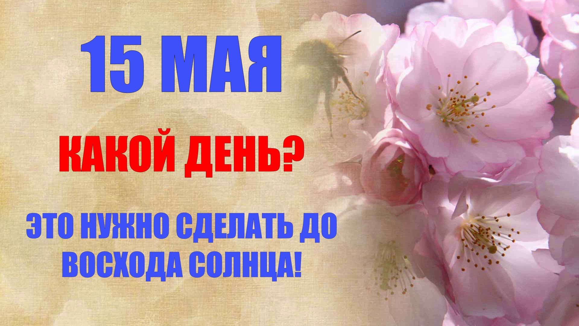 15 мая народный праздник Борисов день. Что нельзя делать. Народные традиции и приметы