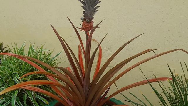 11 June 2023 смотреть онлайн