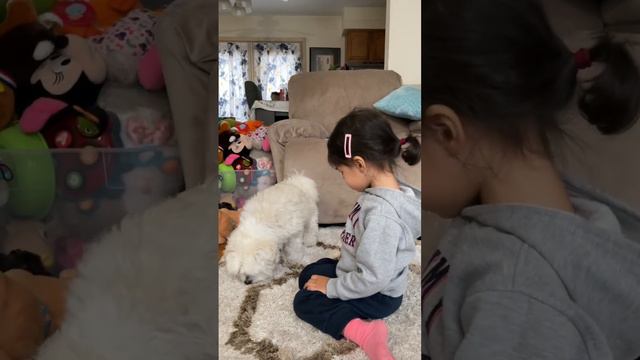 These two are always together 🐶👧🏻