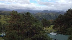 Baby I'm Yours by Mama Cass Elliot (1965)