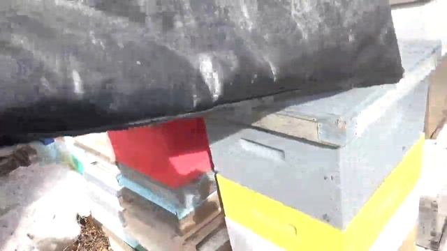 Зимовник для бедных. смотреть онлайн