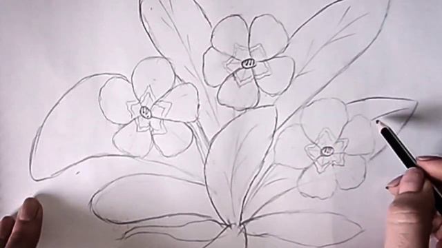 Урок малювання.   Малюємо примули аквареллю смотреть онлайн