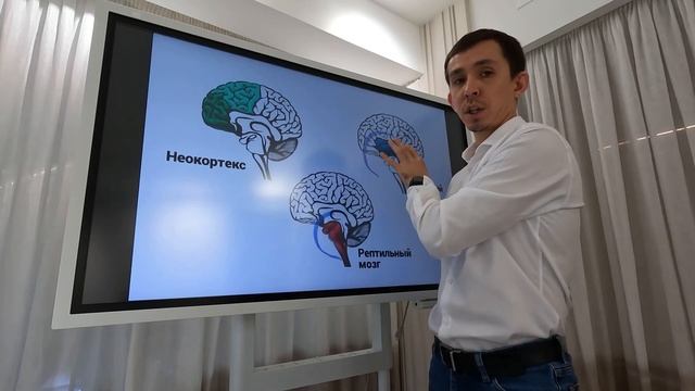 Сознание, подсознание, бессознательное!