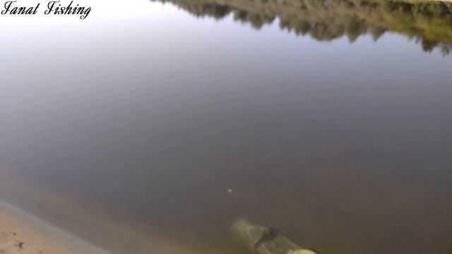 Рыбалка на Клязьме. Снова лещ в жару. смотреть онлайн