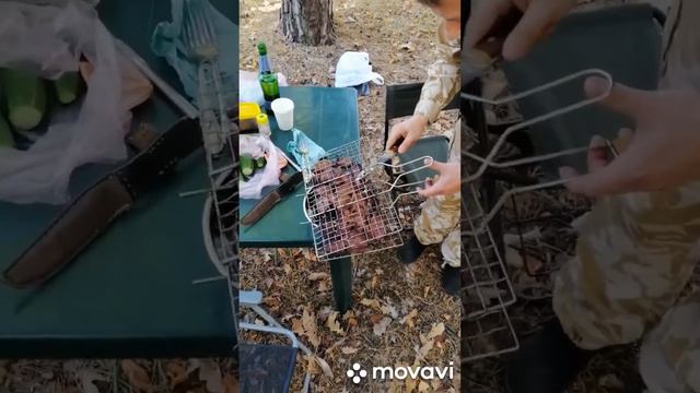 Шашлык из оленины
