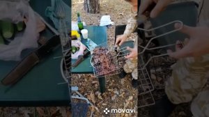Шашлык из оленины