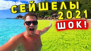 ШОК от ЛУЧШЕГО пляжа Сейшел - это ДНО?! ОТДЫХ испорчен? Праслин 2021