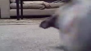 Тряпка для пола!!!