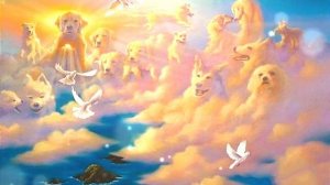 Куда уходят души животных. МидгасКаус планета Эстер через Ирину Подзорову проект Кассиопея.