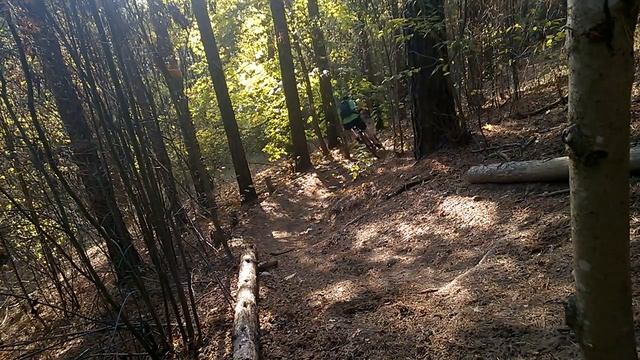 трасса 62 trail смотреть онлайн