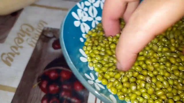 Машхурда - Moshxorda