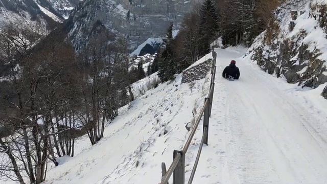 holiday sleigh ride смотреть онлайн