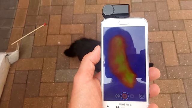 Seek Thermal Imaging Camera Review смотреть онлайн