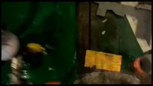Самодельный компрессор Икарус