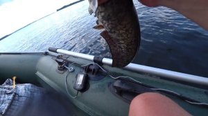 Ловля СОМА на КВОК  моя СНАСТЬ и МОНТАЖ