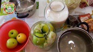 Моченые яблоки с капустой и солодом в банках по рецепту дедушки Петра