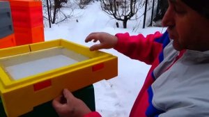 Улей МЕДВЕДЬ ППУ