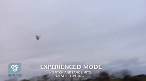 Радиоуправляемый самолёт E-flite Delta Ray RTF