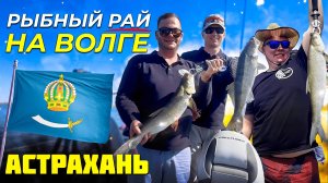 Рыбалка на Волге в Астрахани 2024 - ЧЕСТНЫЙ видео отзыв: СУДАК на Волге летом с лодки, какие снасти?