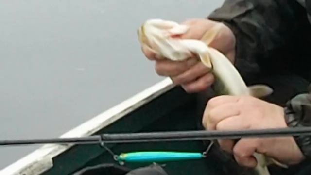 поймал отпусти смотреть онлайн