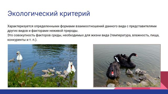 15 задание ЕГЭ по Биологии 2020 смотреть онлайн