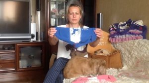 Свитер для таксы